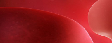 10. teden nosečnosti